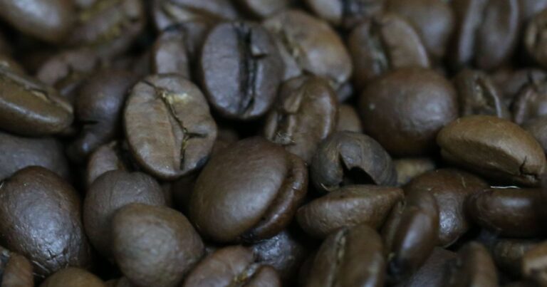Exportações de café do Brasil caem 7,8% no primeiro trimestre de 2026