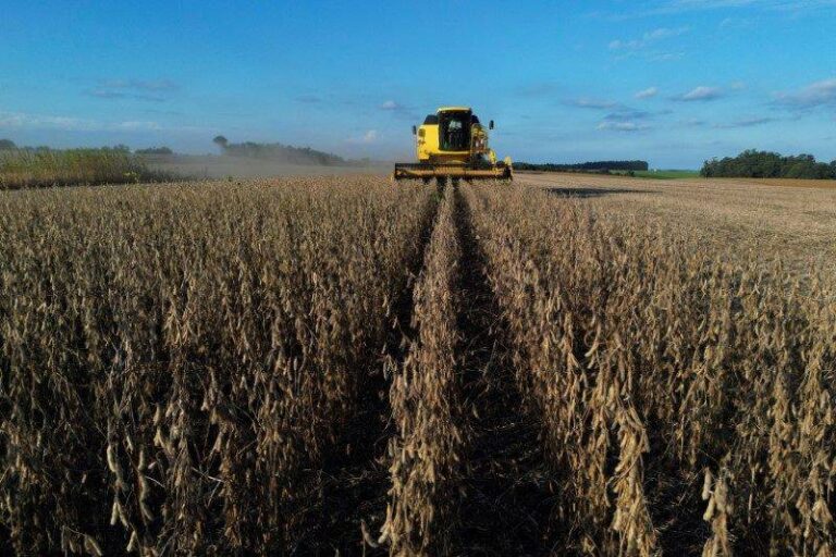 Crédito rural em colapso impulsiona leilões de fazendas no Brasil