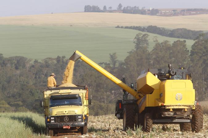 Paraná fecha safra de verão recorde com 26,3 milhões de toneladas