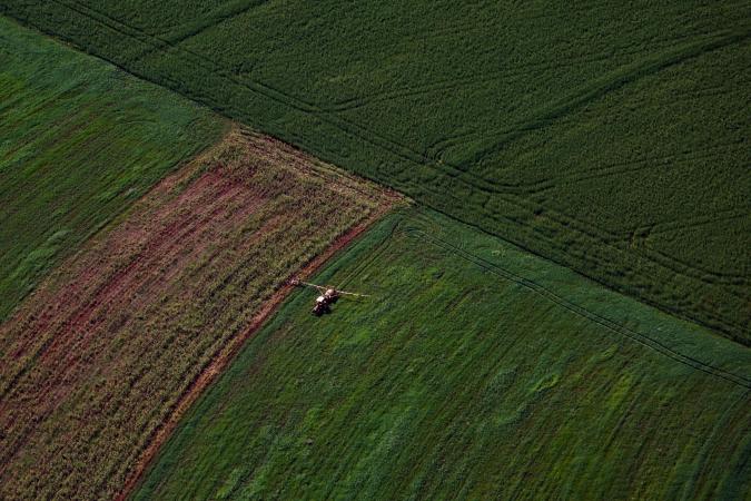 VBP agropecuário do Paraná cresce 13% e atinge R$ 212,6 bilhões