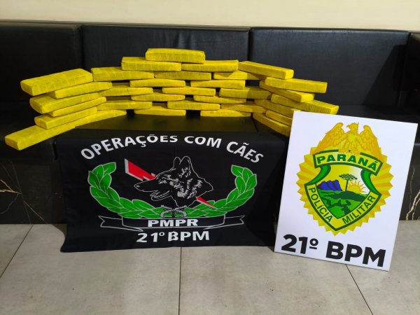 Polícia prende mulher com 25 kg de maconha em ônibus no Paraná