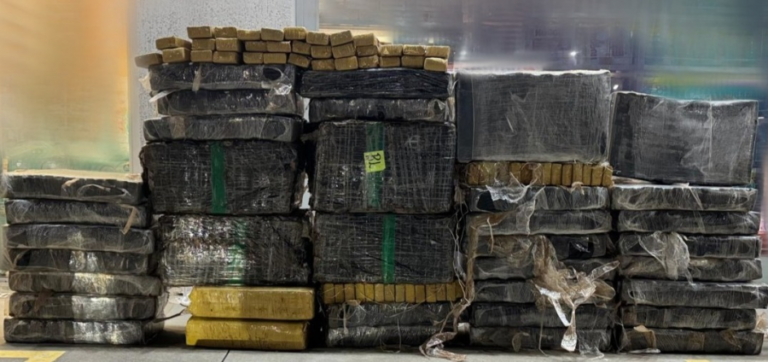 Operação integrada apreende 700 kg de maconha em União da Vitória
