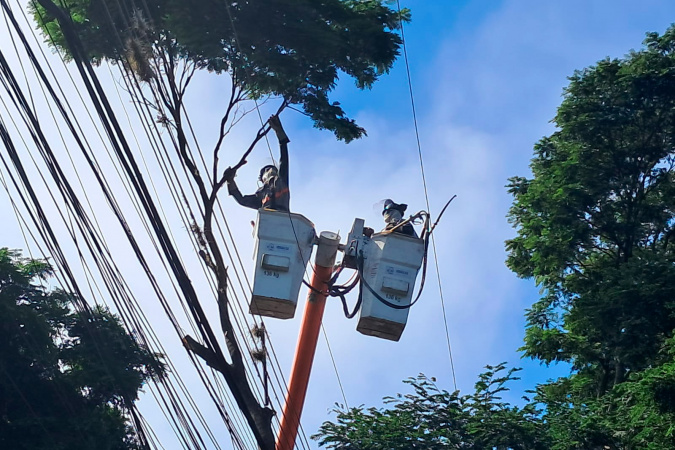 Copel executa poda preventiva em Cornélio Procópio e Rolândia
