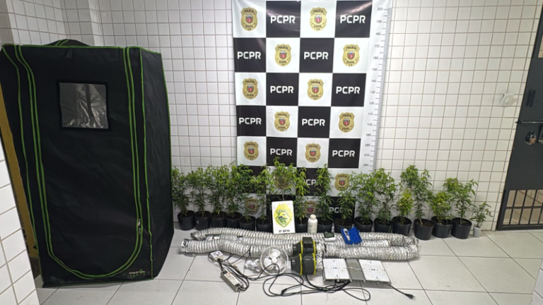 Polícia localiza laboratório de cultivo de maconha em Matinhos