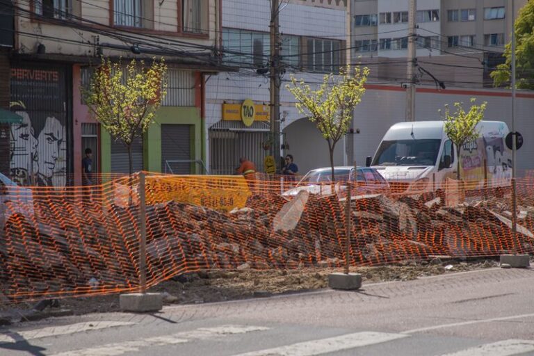 Cerejeiras do Japão ganham proteção técnica em obras no centro de Curitiba