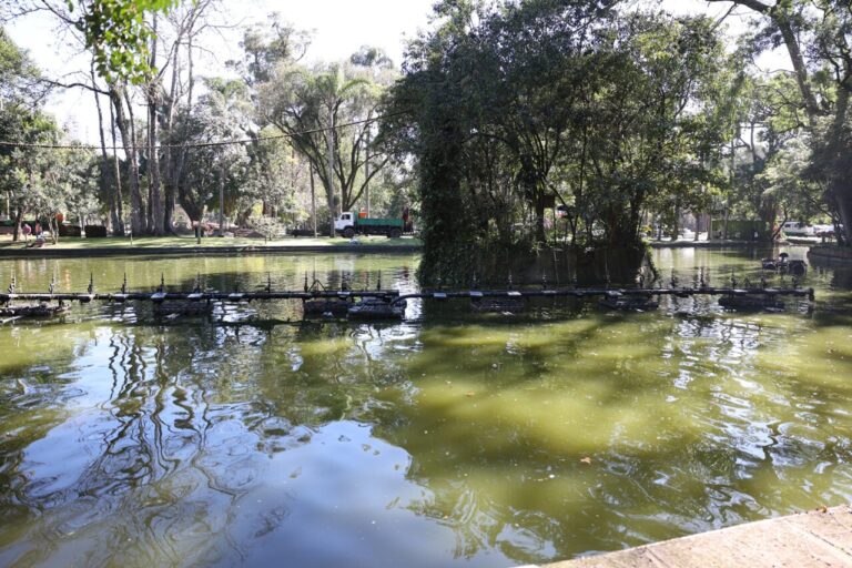 Passeio Público se ilumina para Inverno Encantado