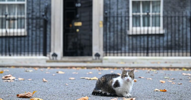 Gato Larry servirá seu sétimo primeiro-ministro