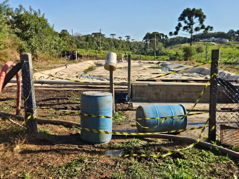 Menino autista morre afogado no Paraná; especialistas alertam