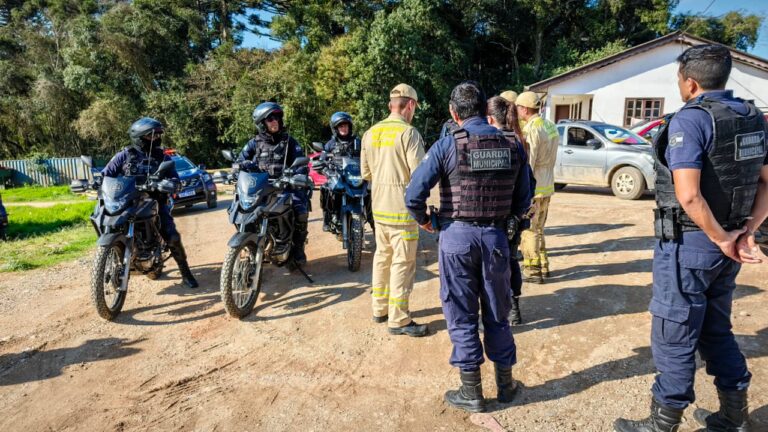 Menino autista desaparece em área rural de Araucária