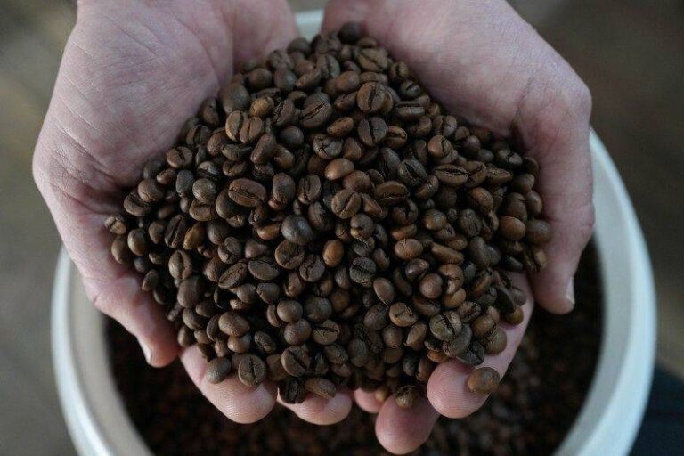 Tarifa sobre café solúvel brasileiro impacta consumidores dos EUA