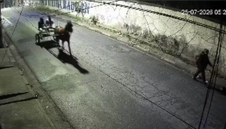 Assalto a mão armada ocorre em charrete na região de São Paulo