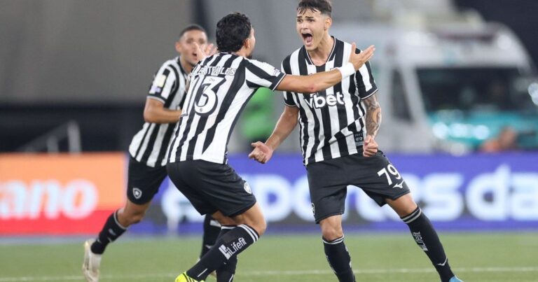 Botafogo vence Santos com erro adversário e respira no Brasileirão