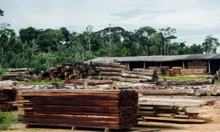 Tarifas dos EUA afetarão economia paranaense, alerta Apex Brasil