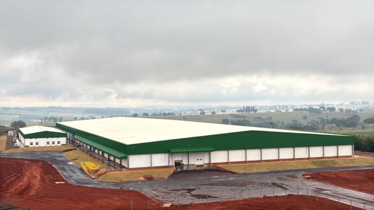 Grupo Pluma investe em incubatório gigante no Paraná