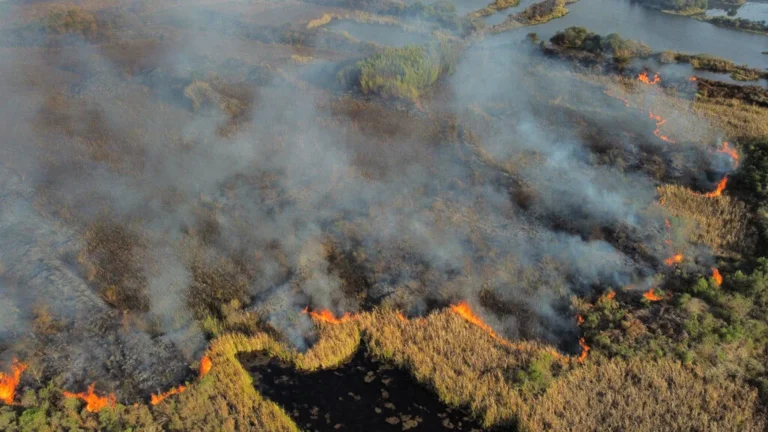 Metade do Paraná segue em risco elevado para incêndios florestais
