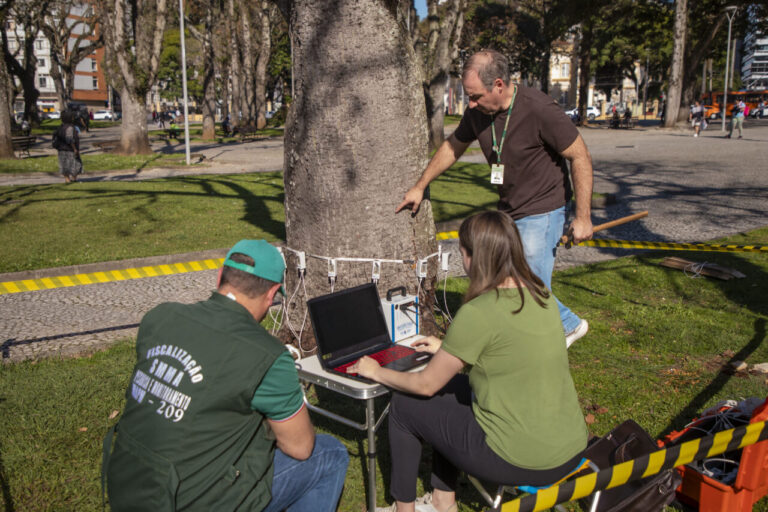 Curitiba usa tomografo para diagnóstico de saúde das árvores