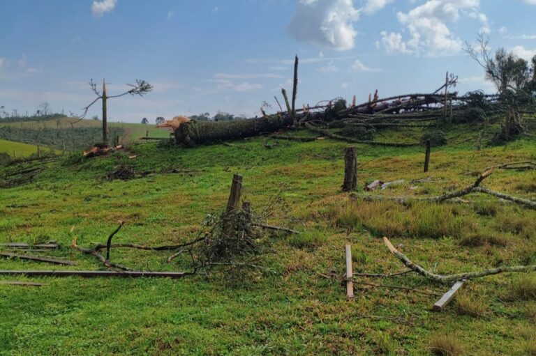 Aulas são suspensas em escola estadual de Piraí do Sul após tornado
