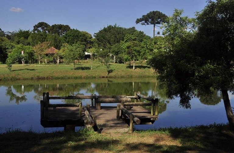 Colombo realiza 14ª Festa do Agricultor neste fim de semana no Parque da Uva