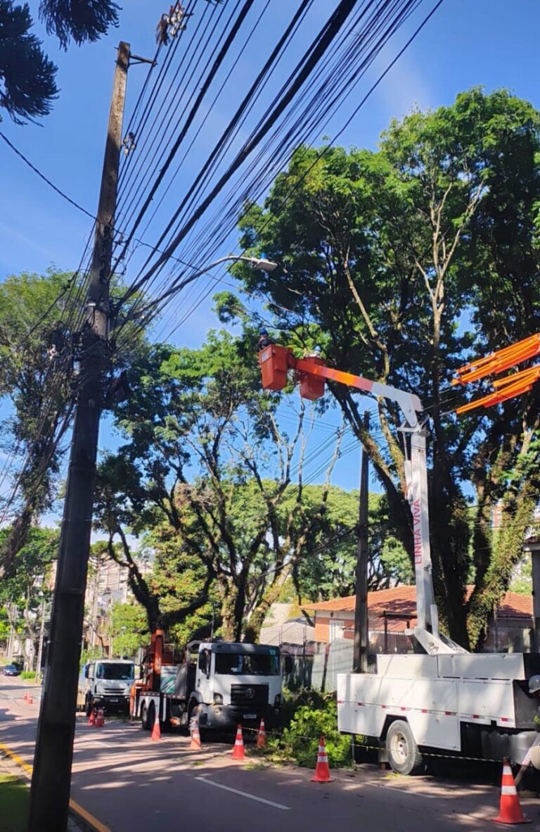 Copel faz poda de árvores em quatro bairros de Curitiba nesta quinta