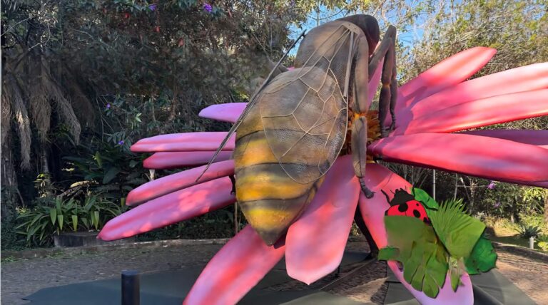 Parque do Ingá recebe exposição com insetos gigantes e trilhas noturnas em setembro