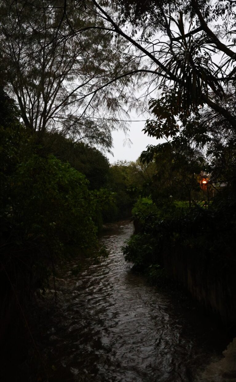 Temporal escurece tarde em Curitiba e causa granizo em domingo