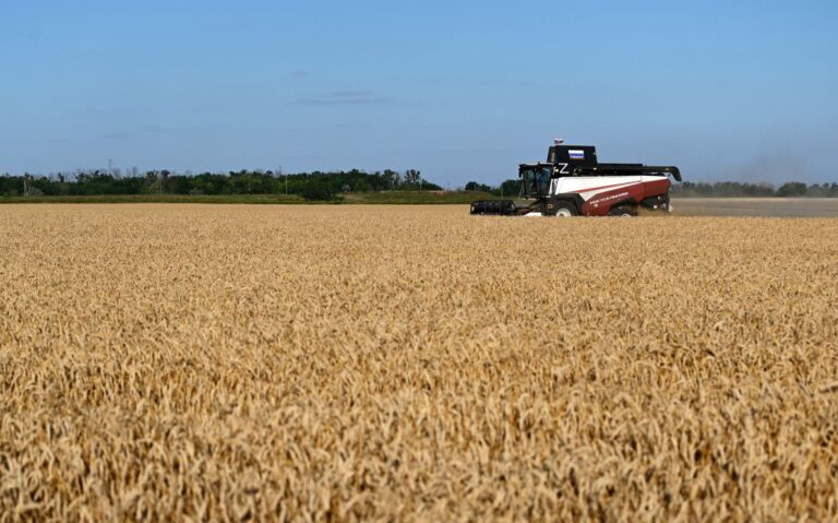 Sistema alimentar global está mais resiliente contra El Niño forte, dizem especialistas