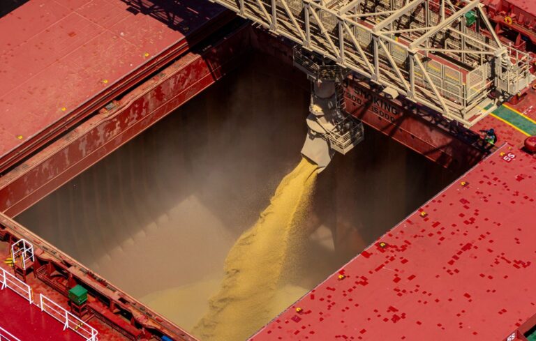 PIB da cadeia de soja e biodiesel deve avançar 6,87% em 2026