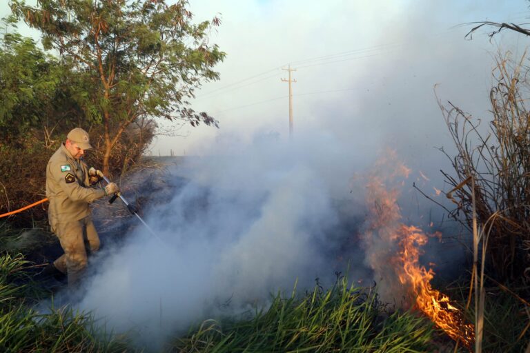 Paraná enfrenta risco moderado a alto para incêndios florestais