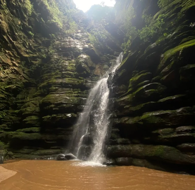 Pesquisa identifica espécies inéditas no Parque Buraco do Padre em Ponta Grossa