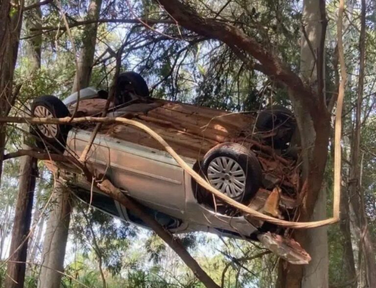 Carro fica pendurado em árvore após acidente na PR-542