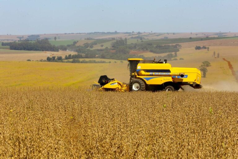 Paraná registra recorde de R$ 213 bilhões em valor bruto da produção agropecuária