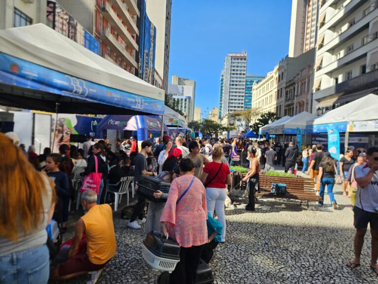 Rua XV de Novembro recebe famílias em domingo de sol em Curitiba