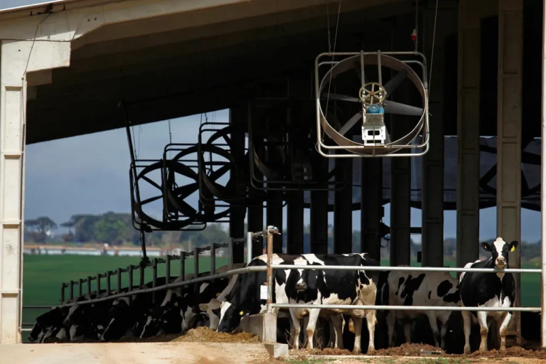 Cooperativas do Paraná investem em programas para garantir sucessão familiar no campo