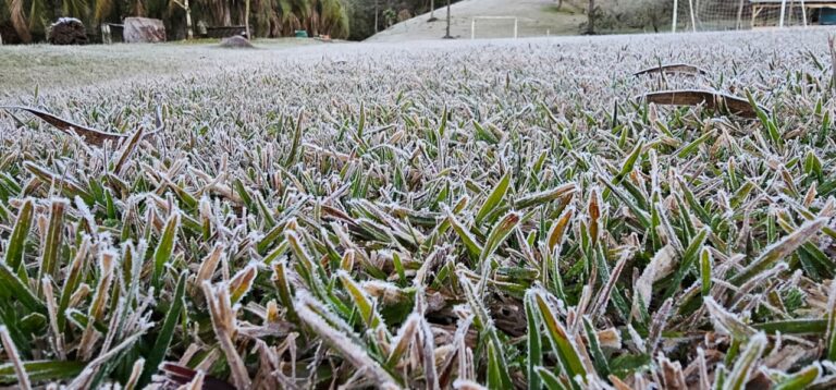 Paraná registra temperatura negativa de -2,8°C no domingo