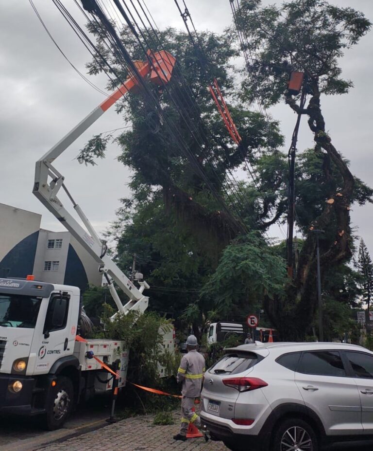 Copel faz poda de árvores em cinco bairros de Curitiba nesta quarta