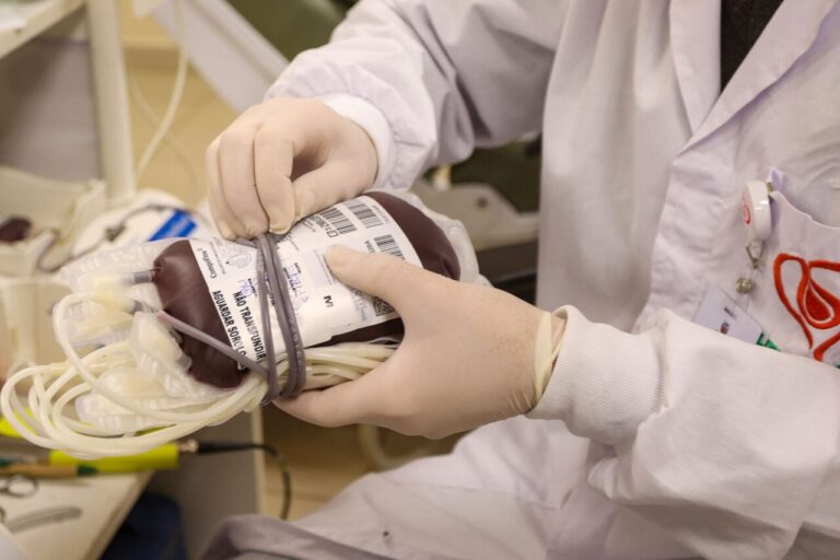 Paraná registra crescimento de 15% em doações de sangue em dois anos