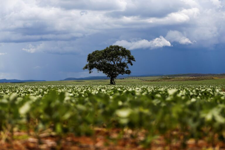 IFI aponta que economia brasileira opera acima do limite estrutural