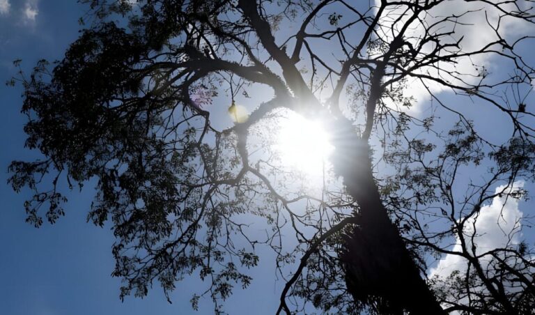Paraná enfrenta frio no início da semana após massa de ar polar