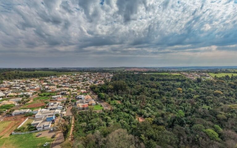 Cianorte recupera vegetação do cinturão verde dois anos após incêndio