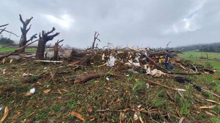 Simepar classifica tornado que atingiu Piraí do Sul como F3 severo