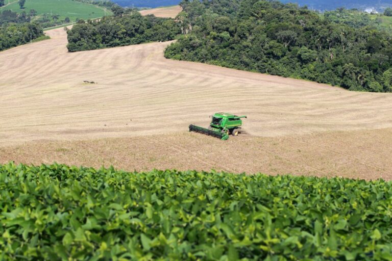 Paraná ocupa 4º lugar na produção agrícola nacional, diz IBGE