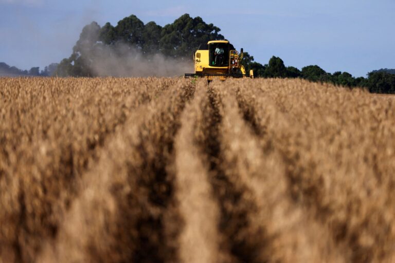 Corte da Selic traz alívio pequeno ao endividado setor do agronegócio, diz consultora