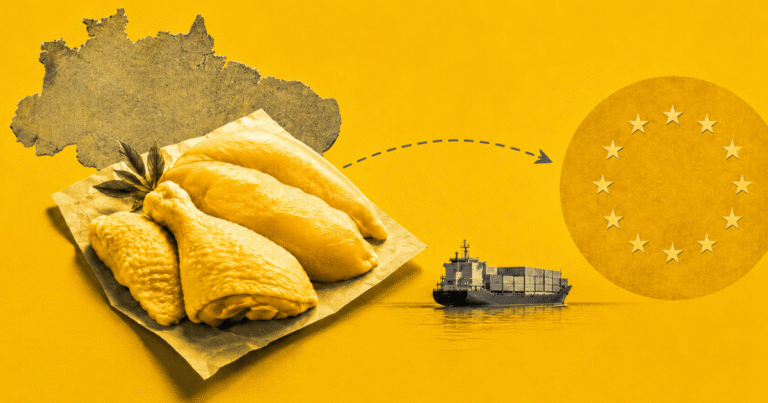 Avicultura brasileira corre contra tempo para retomar mercado na União Europeia