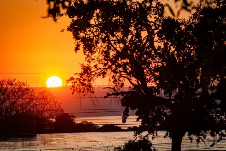 Brasil registra calor intenso e tempo firme nesta sexta com máxima de 39°C