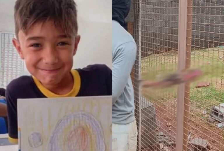 Menino de 8 anos morre após ataque de pitbull em Apucarana