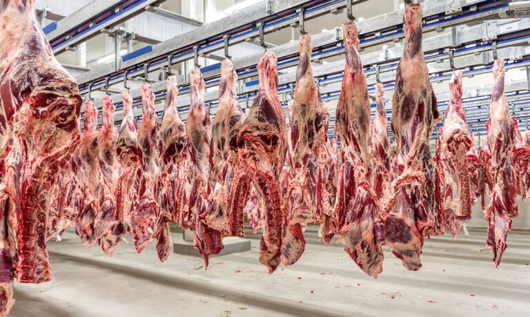 Embargo da UE a produtos animais afeta US$ 18 bi em vendas do Brasil