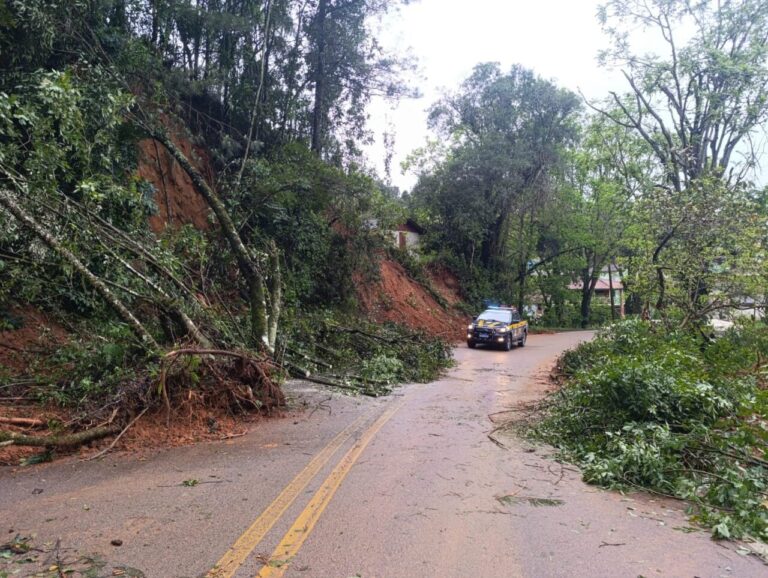 Defesa Civil vê ocorrências quase dobrarem com tempestades no Paraná