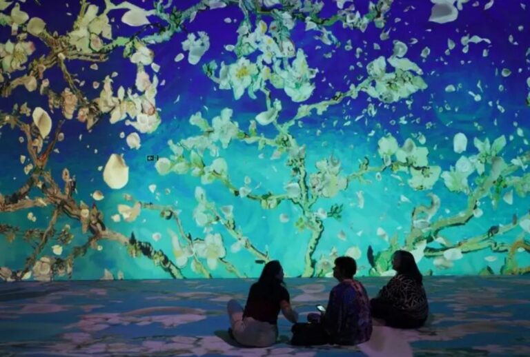 Exposição imersiva de Van Gogh abre em Ponta Grossa nesta quinta