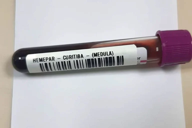 Paraná é terceiro estado com mais doadores de medula óssea no país
