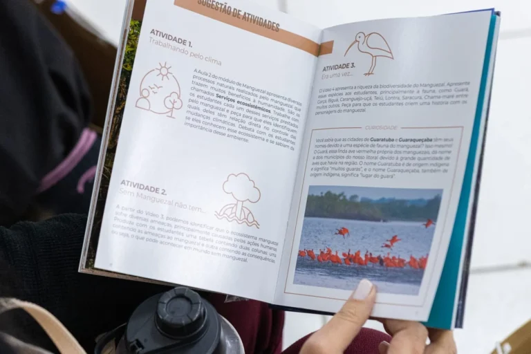Rebimar abre curso gratuito sobre cultura oceânica para professores de todo o país